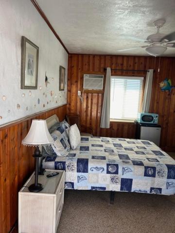 Seahorse Inn Ню Смирна Бийч Екстериор снимка